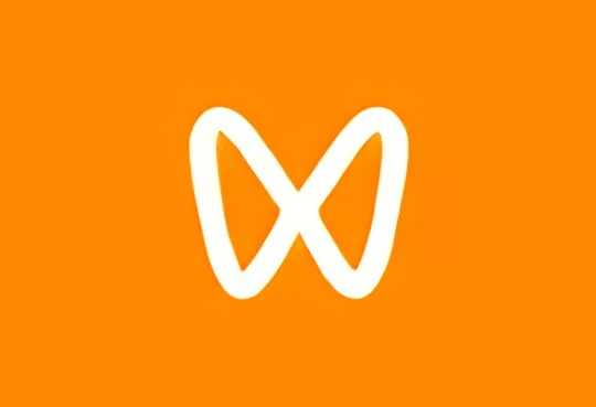 微信视频号下载工具(支持直播回放、直播流) v260330 中文绿色版