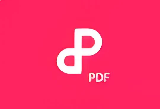 WPS PDF 阅读器专业版 v12.8.0.15662 精简安装版(02.12)