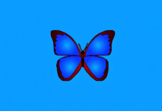 小巧精悍看图软件 bkViewer v8.5d 中文绿色版