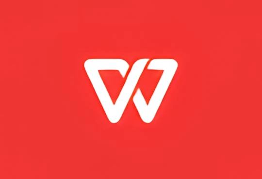 WPS Office 2023专业版 v12.8.2.21555 精简优化版 v8