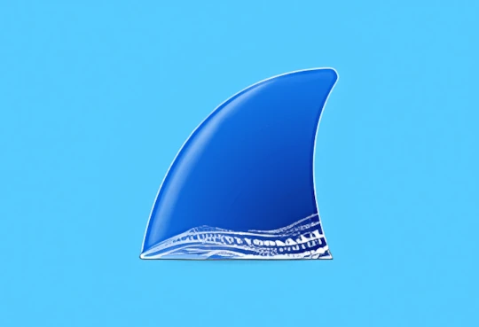 网络抓包工具 Wireshark中文版 v4.6.5 多语便携版